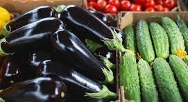 دلایل تلخ شدن میوه های خیار و بادمجان