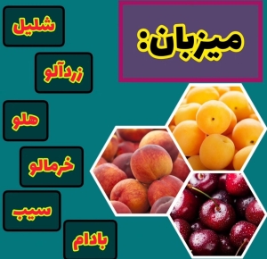 زمان سم پاشی