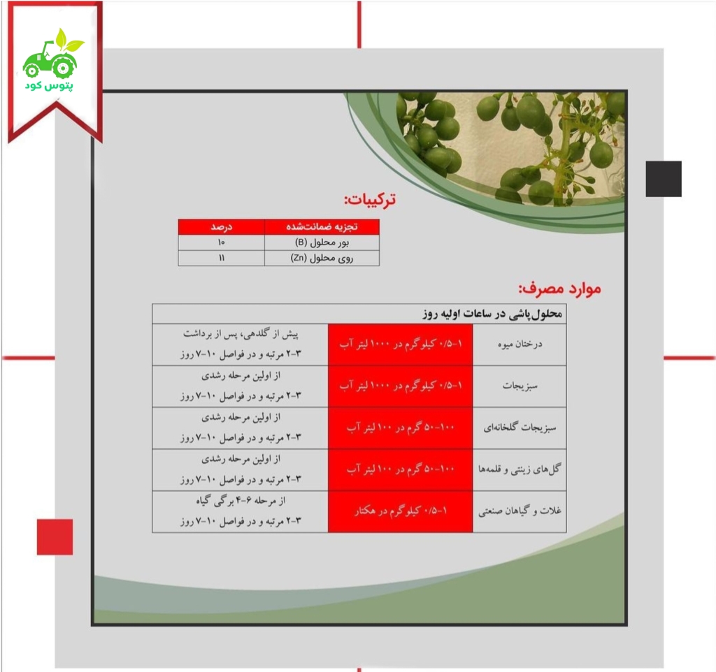 کود بی زد فست سیفو ایتالیا 