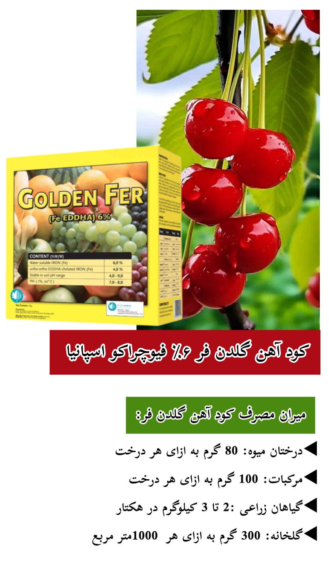 میزان مصرف کود آهن گلدن فر فیوچراکو اسپانیا 