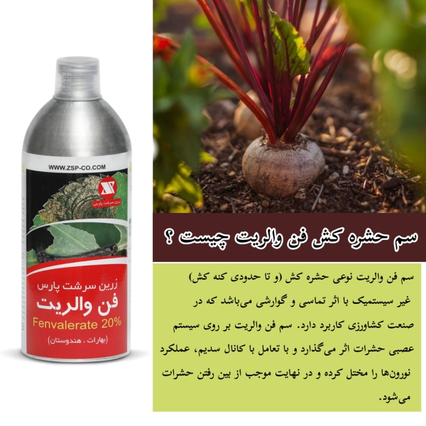 فن والریت زرین سرشت چیست
