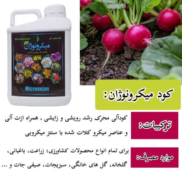 ترکیبات میکرونوژان