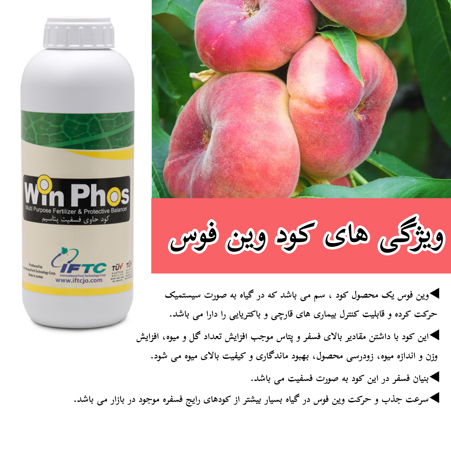 ویژگی وین فوس