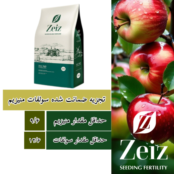 تجزیه ضمانت شده سولفات منیزیم زایز انگلستان