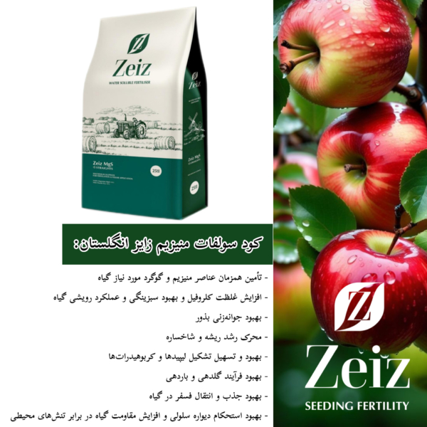سولفات منیزیم زایز انگلستان