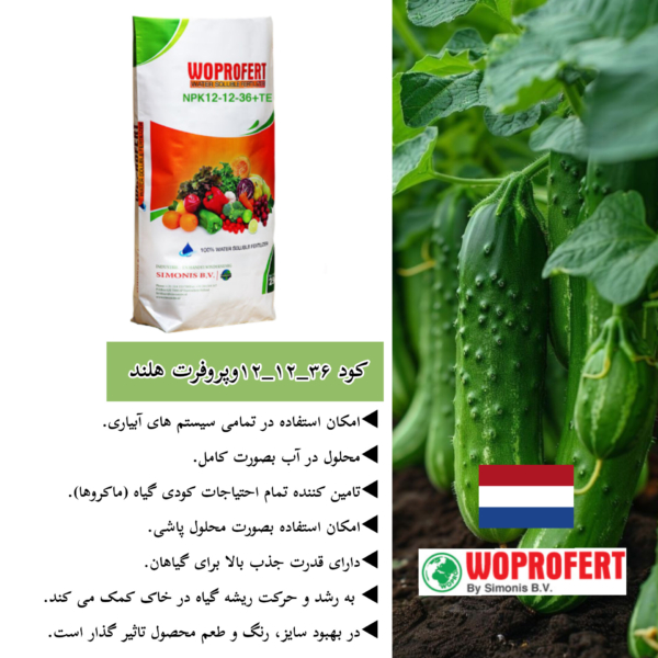 مزایای کود ۳۶_۱۲_۱۲وپروفرت هلند
