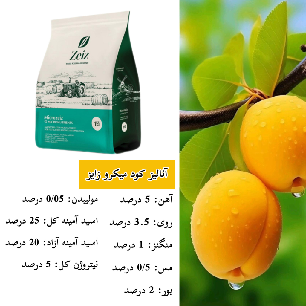 کود میکرو زایز انگلستان 