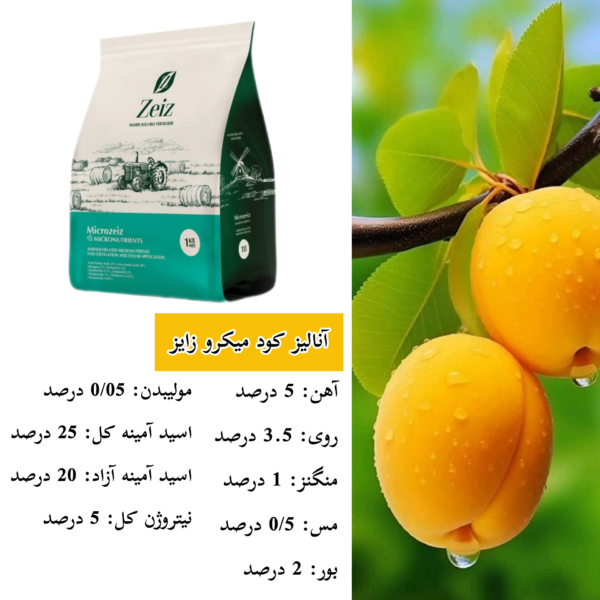 کود میکرو زایز انگلستان