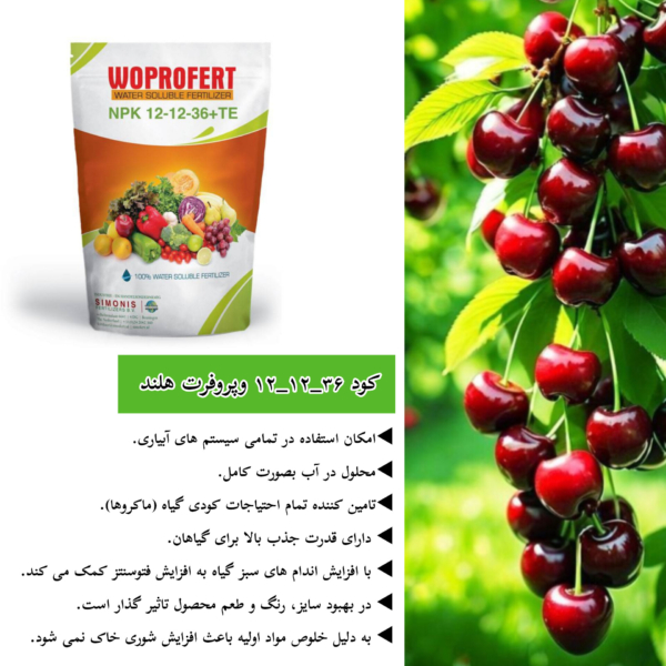 کود ۳۶_۱۲_۱۲وپروفرت هلند