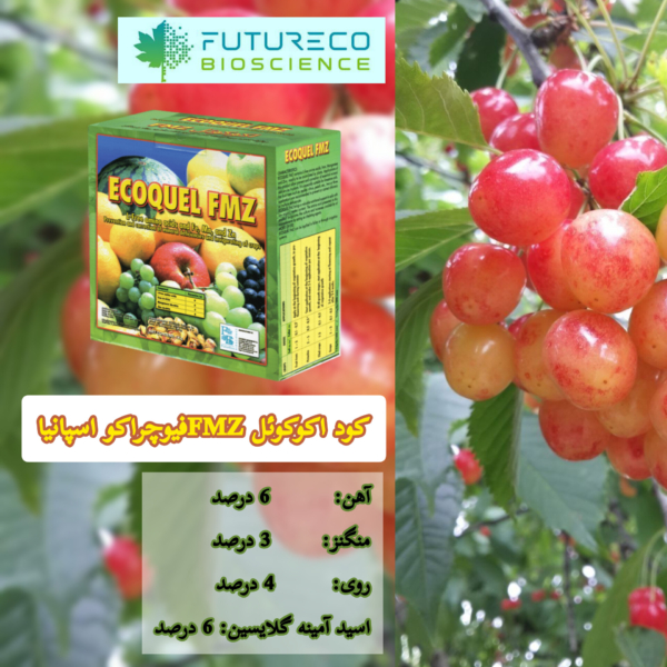 آنالیز کود FMZفیوچر اکو اسپانیا