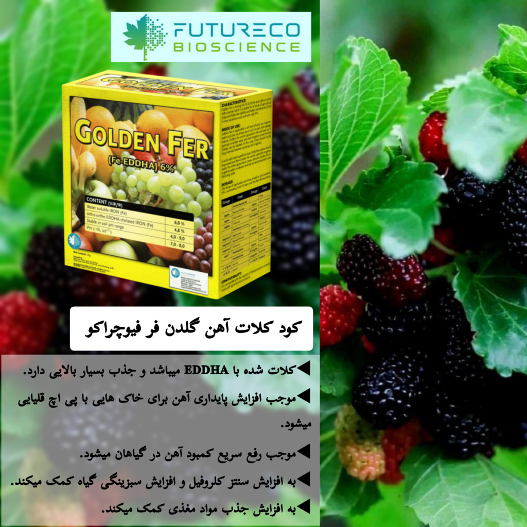 مزایای کود آهن گلدن فر 