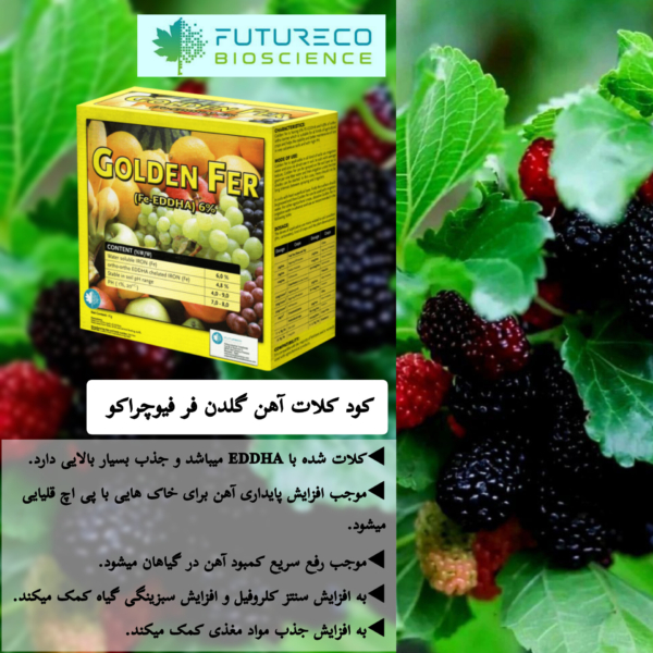 مزایای کود آهن گلدن فر