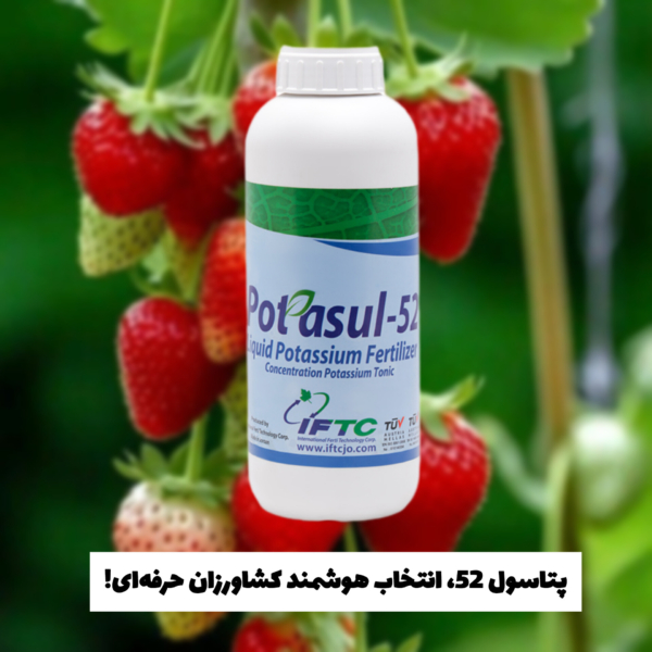 پتاسول انتخاب حرفه‌ای‌ها