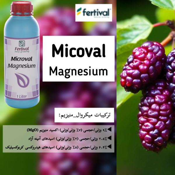 ترکیبات میکرووال منیزیم