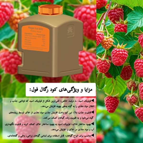 مزایای کود رگال ففول