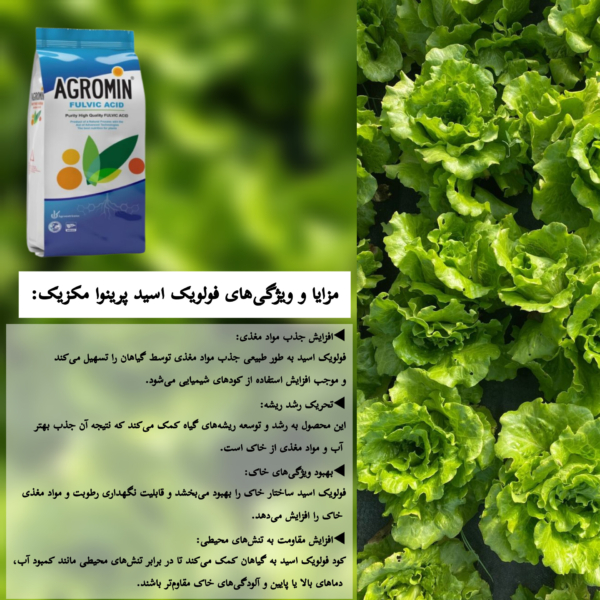 مزایای کود فولویک اسید پرینوا مکزیک