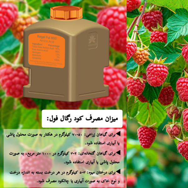 میزان مصرف کود رگال فول