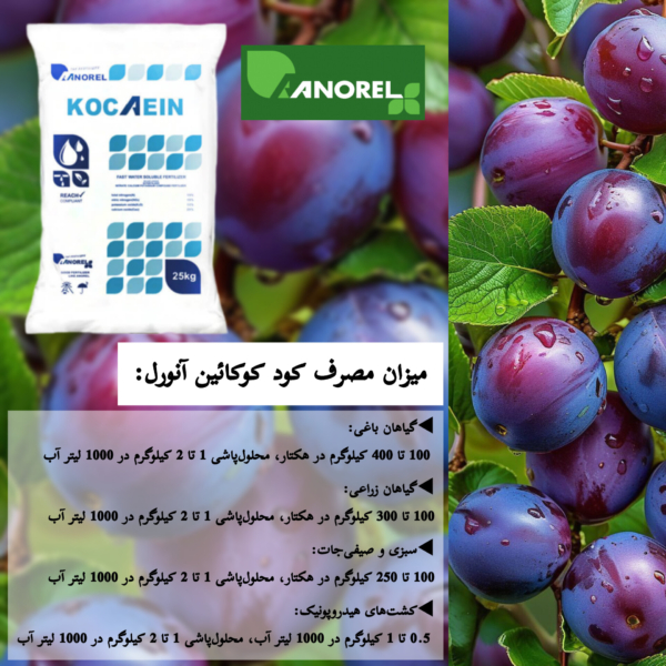 میزان مصرف کود آهن کود کوکائین