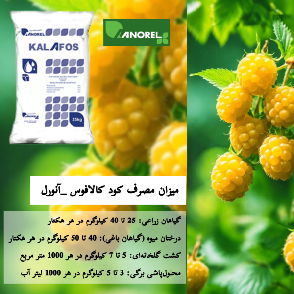 کود کالافوس آنورل