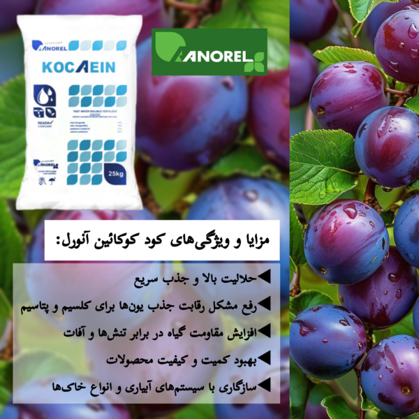 مزایای کود کوکائین آنورل