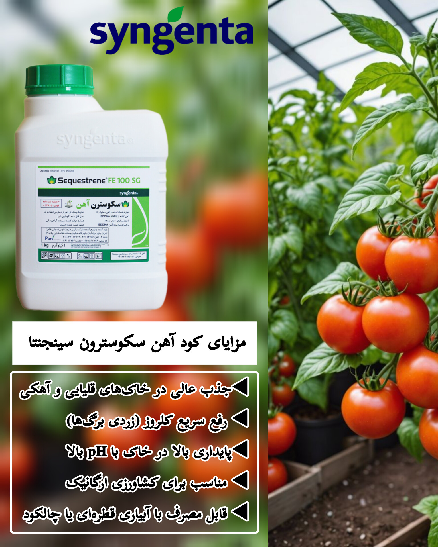 کود آهن سکوسترون 