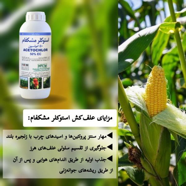 مزایای علف‌کش استوکلر مشکفام