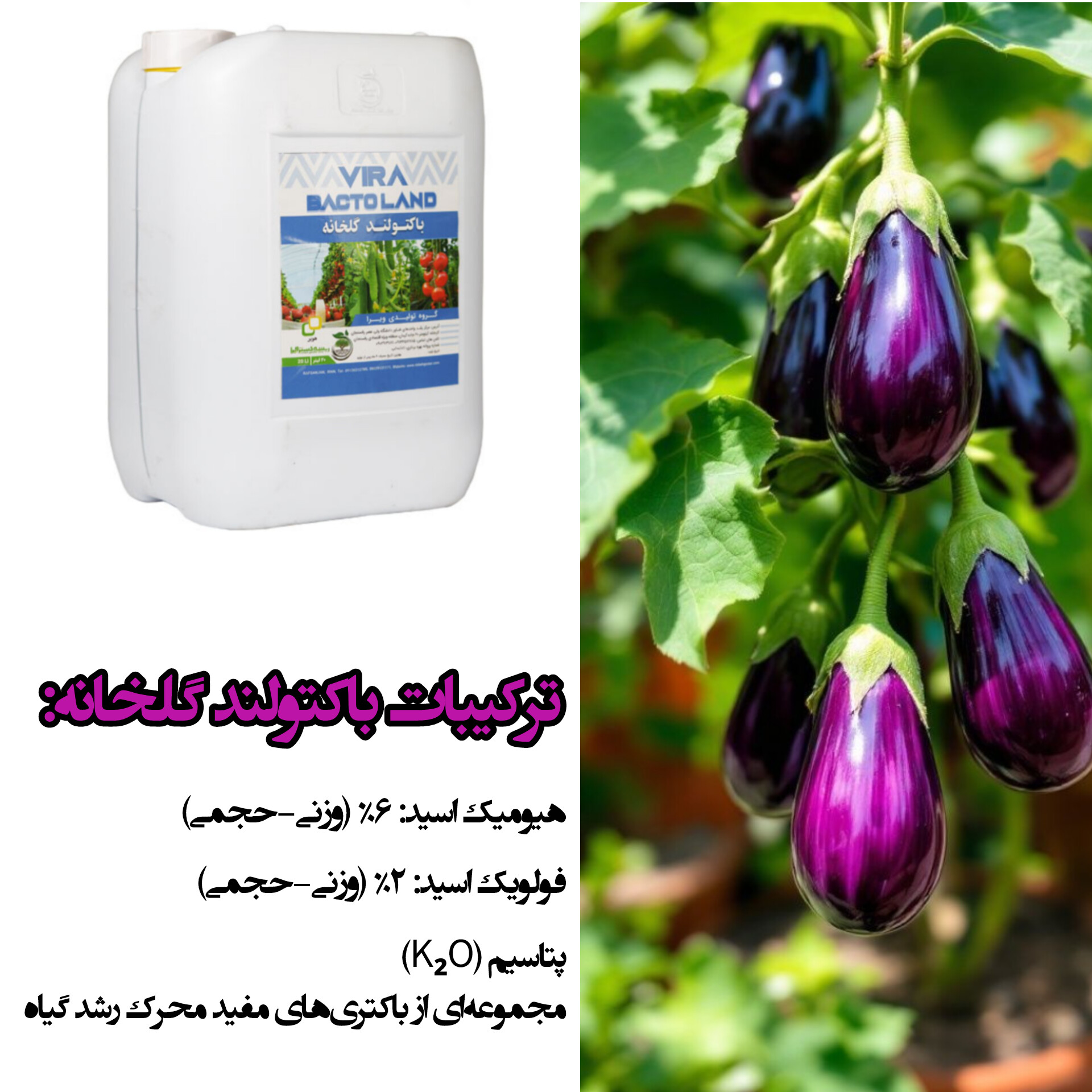ترکیبات باکتولند گلخانه