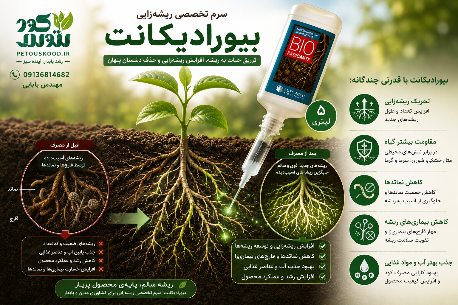 بیورادیکانت معجزه ریشه زایی