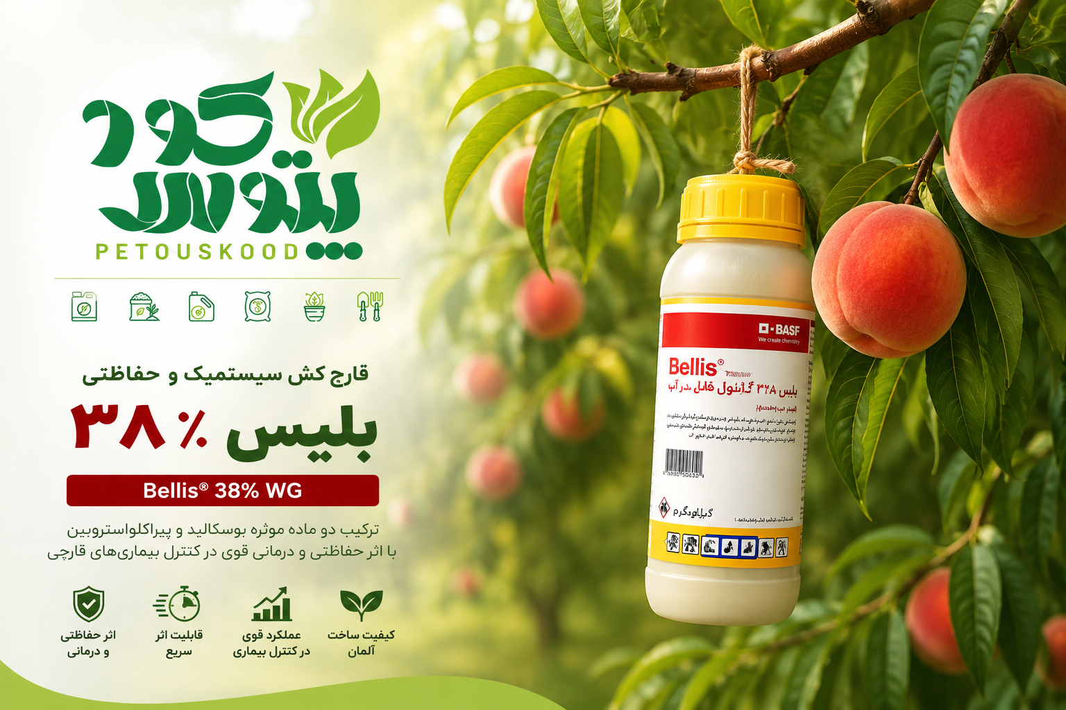 سم قارچ‌کش بلیس 38% (Bellis® 38% WG) BASF آلمان