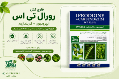 خرید قارچ کش(ایپرودیون + کاربندازیم) رورال تی اس بهاور شیمی ۱ کیلویی