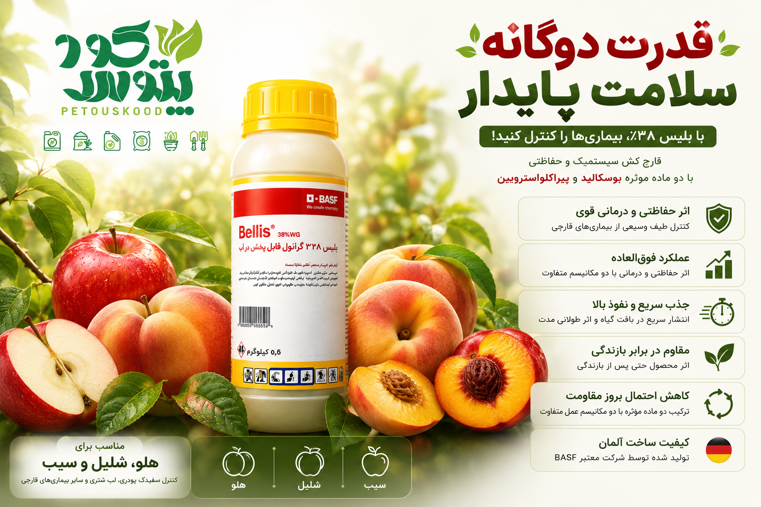 سم قارچکش بلیس 38% (Bellis® 38% WG) BASF آلمان - تصویر 2