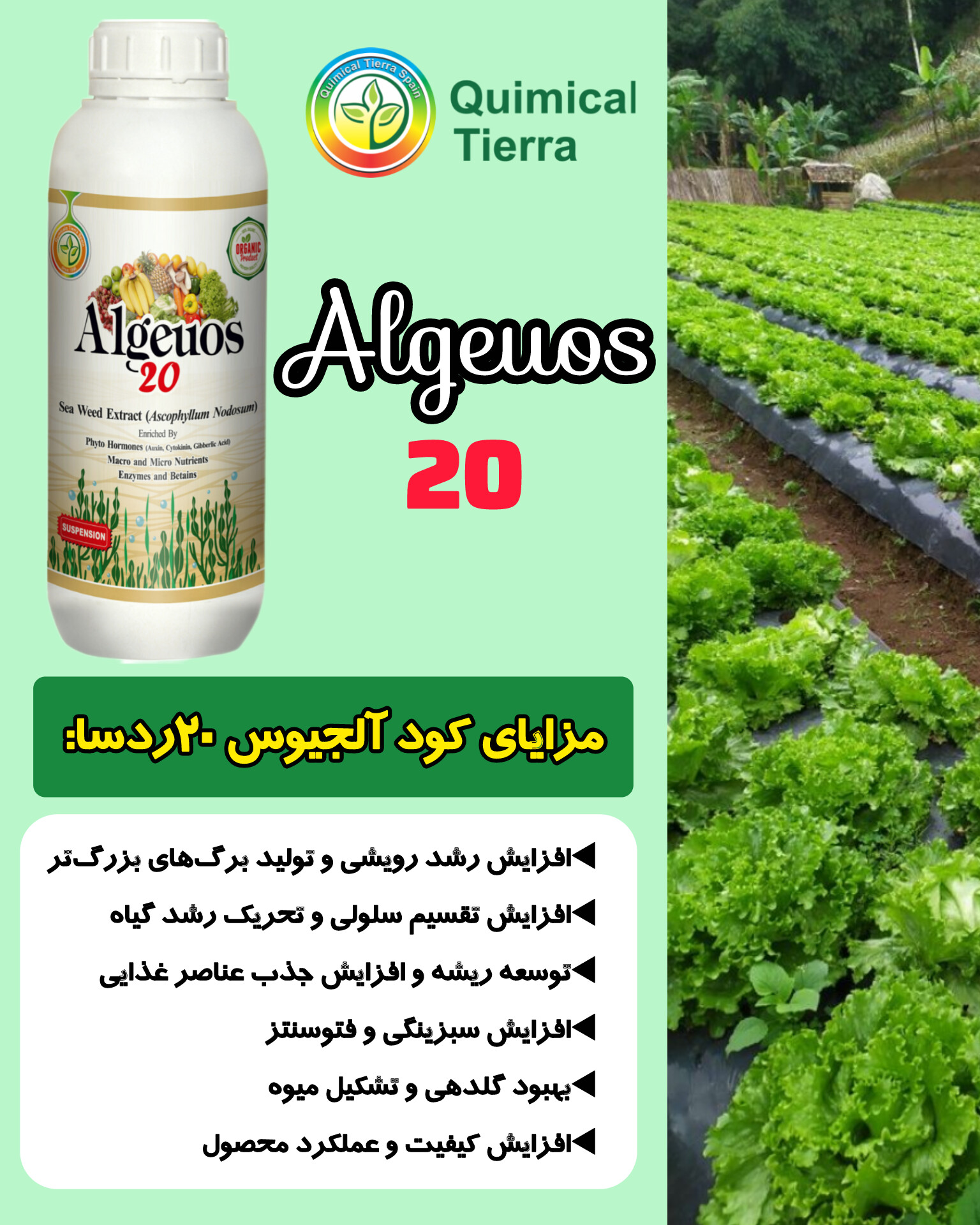 مزایای کود آلجوس ۲۰ ردسا