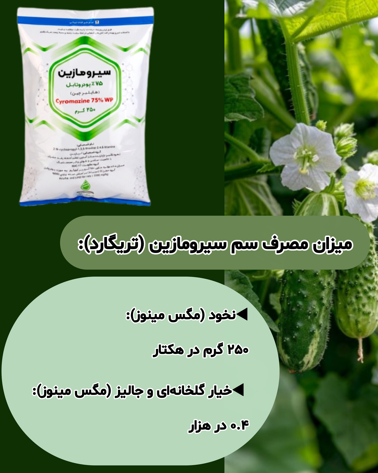 میزان مصرف سم حشرهکش سیرومازین سروش باران