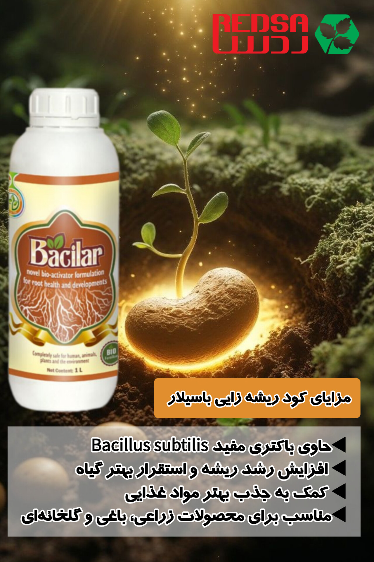 خرید کود باسیلار