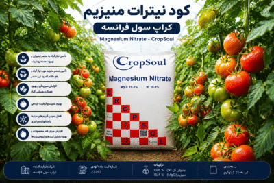 کود نیترات منیزیم کراپ سول فرانسه | CropSoul Magnesium Nitrate