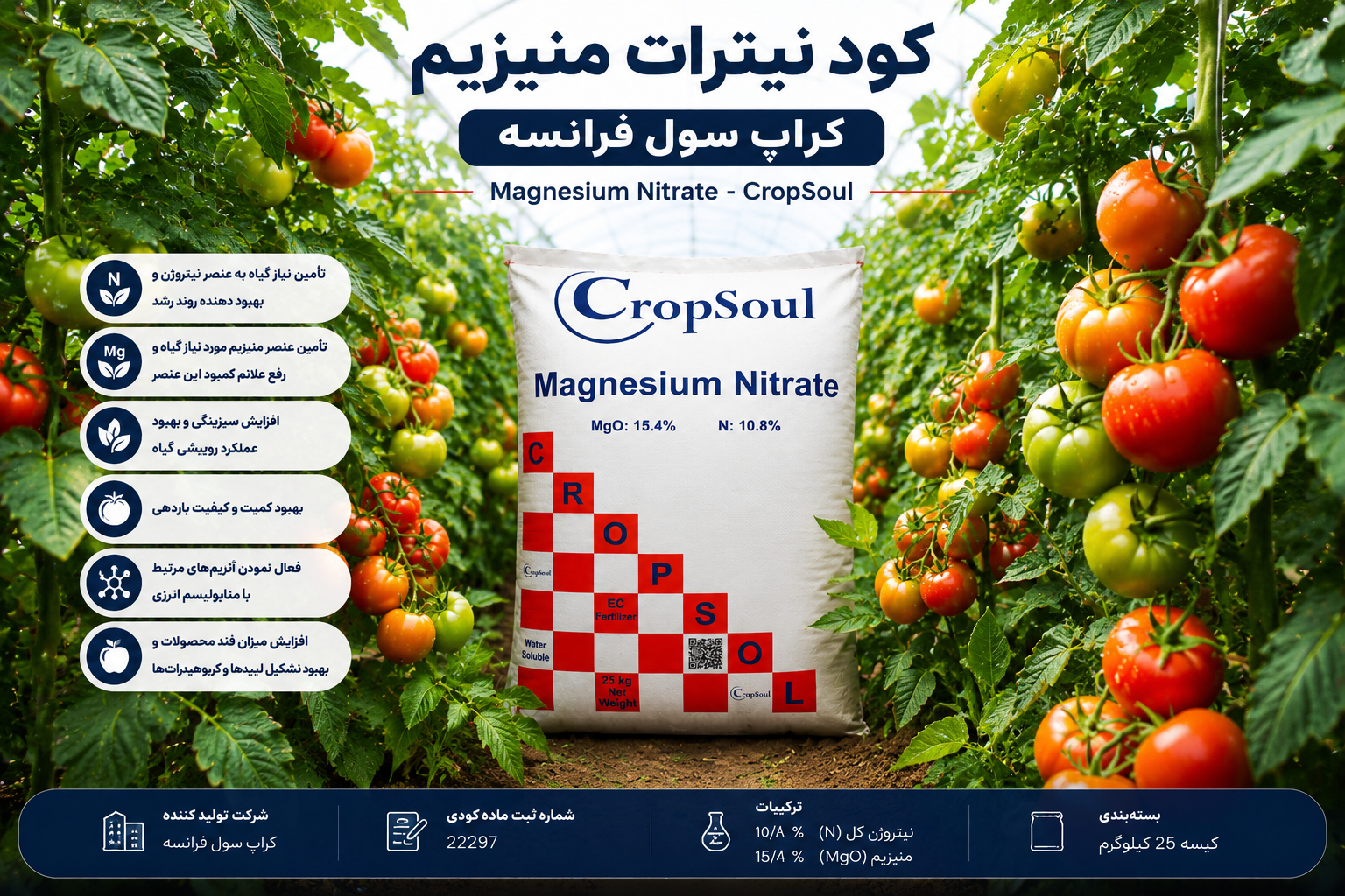 کود نیترات منیزیم کراپ سول فرانسه | CropSoul Magnesium Nitrate