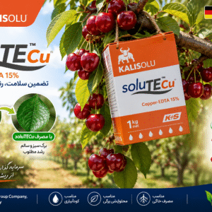 کود کلات مس soluTECu 15% EDTA کا پلاس آلمان ۱ کیلویی