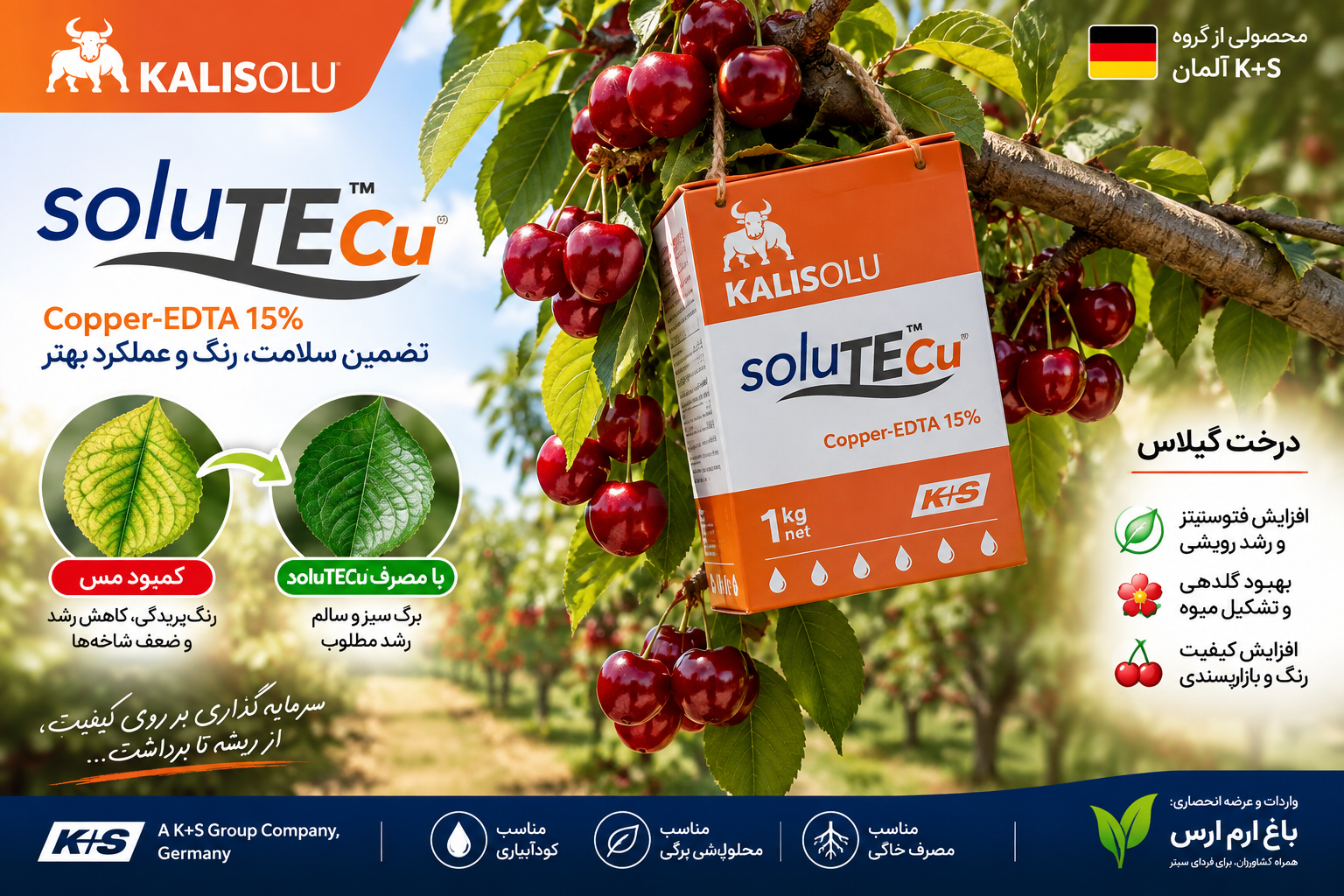 کود کلات مس soluTECu 15% EDTA کا پلاس آلمان ۱ کیلویی