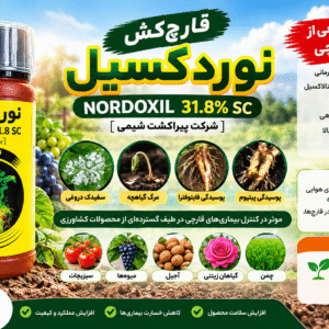 قارچ‌کش نوردکسیل 31.8% SC پیراکشت شیمی | نیم لیتری