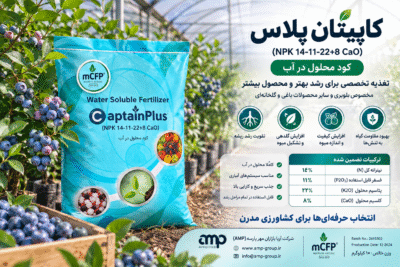 کود کاپیتان پلاس MCFP اردن | NPK 14-11-22 + 8% کلسیم | کود محلول در آب