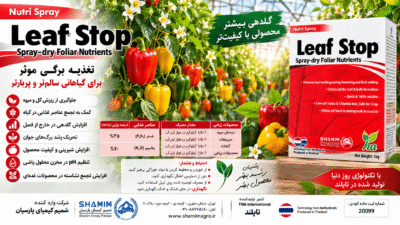 کود لیف استاپ Leaf Stop تایلند | کود فسفر و پتاسیم برای گلدهی و کیفیت محصول