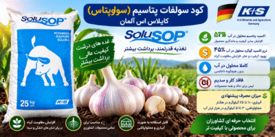 کود سولفات پتاسیم سولوپتاس SoluSOP K+S آلمان 25 کیلوگرم