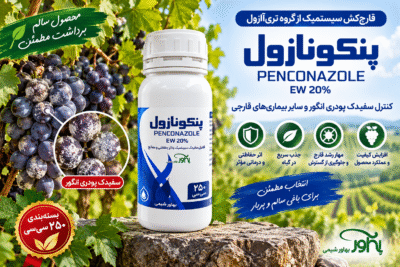 سم پنکونازول 250 سی‌سی بهاور شیمی برای کنترل سفیدک پودری انگور