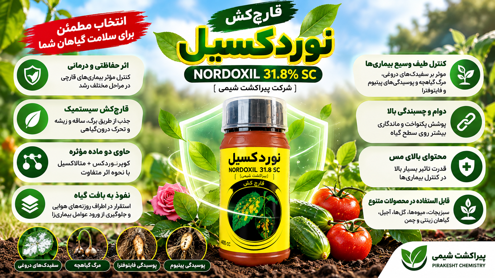قارچکش نوردکسیل 31.8% SC پیراکشت شیمی قارچکشی ترکیبی با اثر حفاظتی و درمانی است که حاوی کوپرنوردکس و متالاکسیل بوده و برای مدیریت بیماریهایی مانند سفیدک دروغی، مرگ گیاهچه و پوسیدگیهای ناشی از پیتیوم و فایتوفترا مورد استفاده قرار میگیرد.
