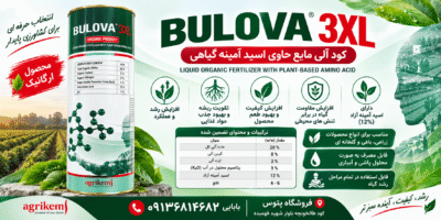 کود اسید آمینه بولوا 3XL | BULOVA 3XL ترکیه، بسته بندی ۲ لیتری